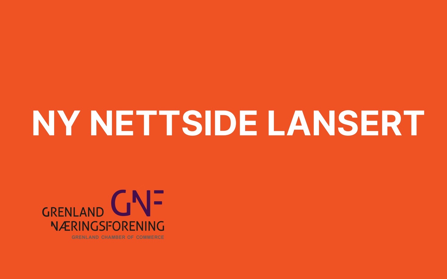 NY NETTSIDE LANSERT