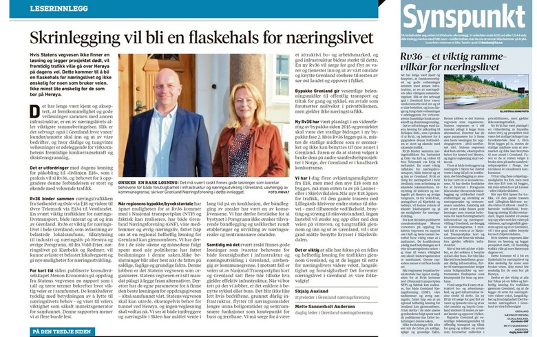 Riksveg 36 - Kronikk