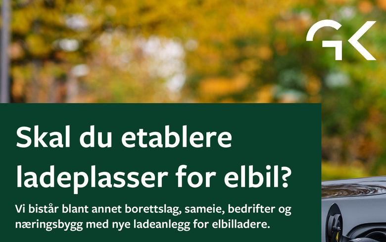 Skal du etablere ladeplass for elbil?